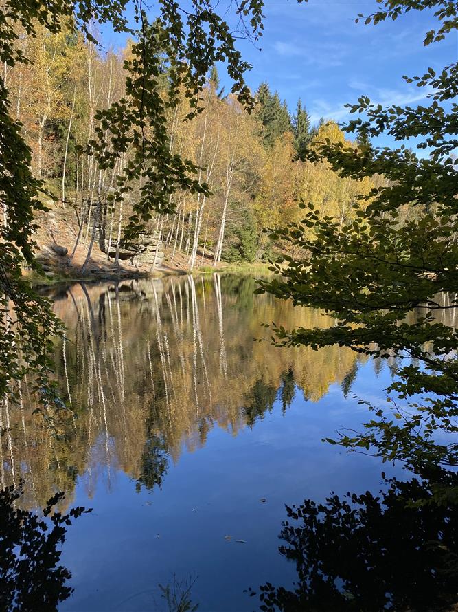 Fotky z výletu do Teplických skal -16.10.2024