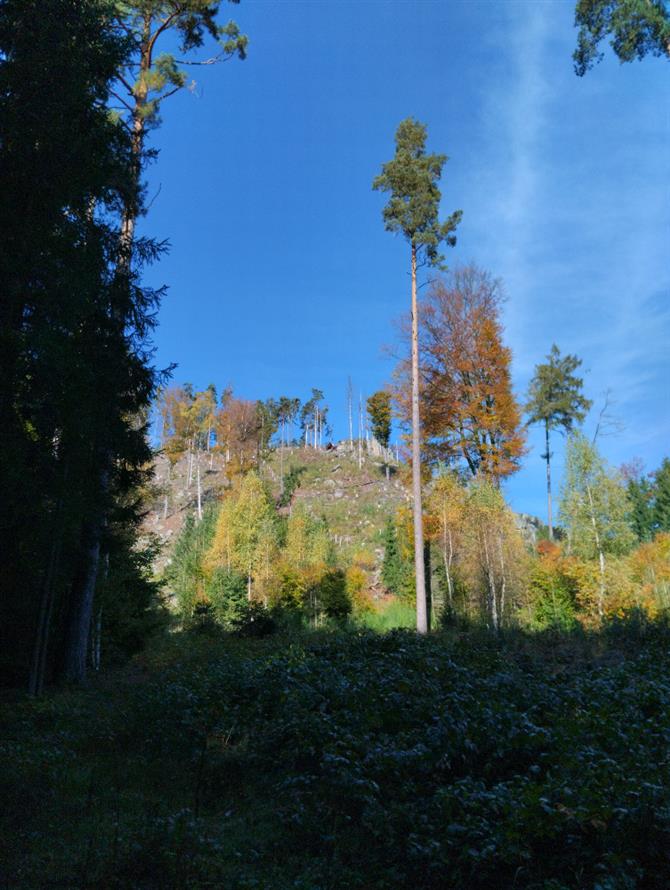 Fotky z výletu do Teplických skal -16.10.2024