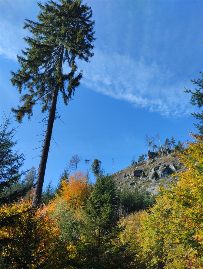 Fotky z výletu do Teplických skal -16.10.2024