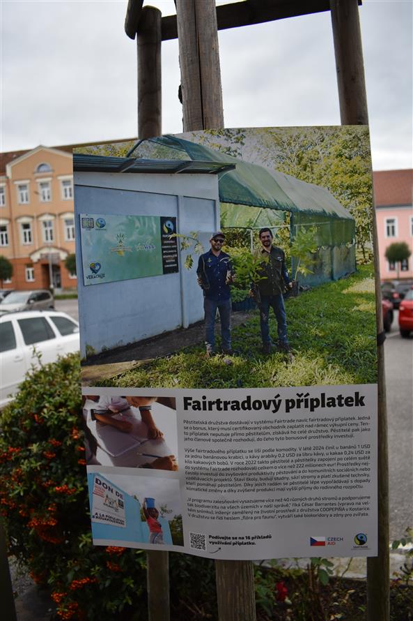 Výstava na stromech