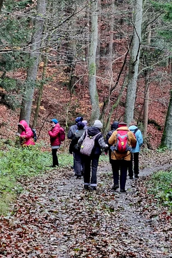 Fotky z výletu Olešnice - Starkoč - 13.11.2024