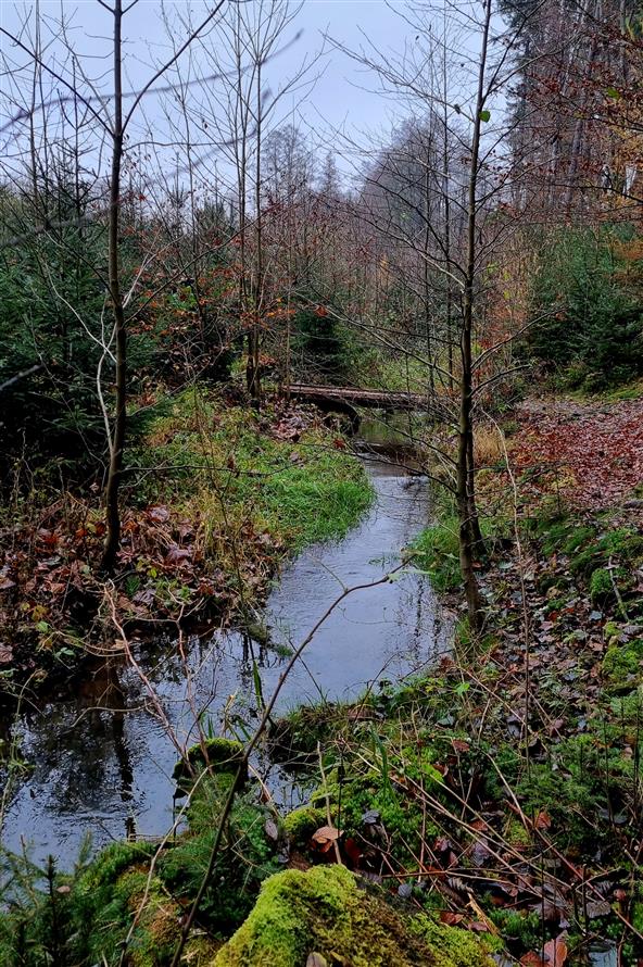 Fotky z výletu Olešnice - Starkoč - 13.11.2024