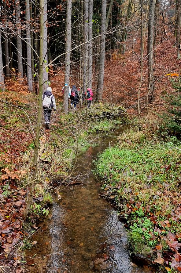 Fotky z výletu Olešnice - Starkoč - 13.11.2024