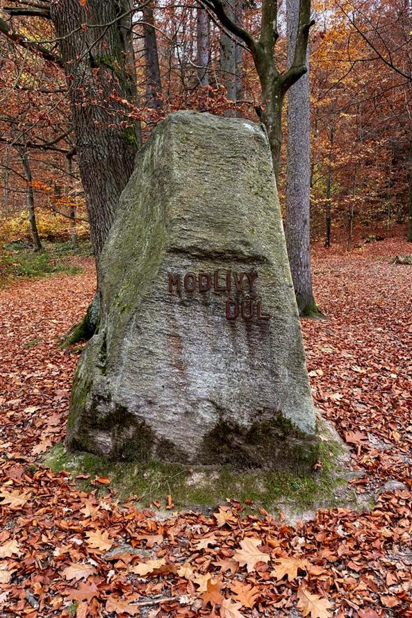 Fotky z výleltu Sopotnice Potštejn konaný 2.11.2024